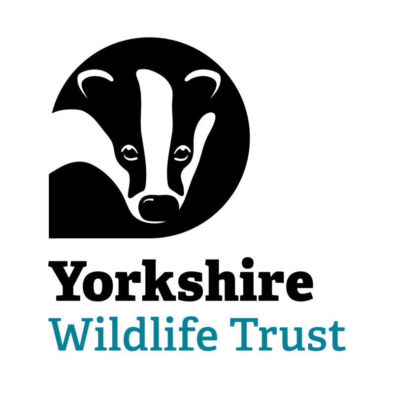 Yorkshire Wildlife Trust logo