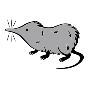 client-the-growling-shrew client-the-growling-shrew