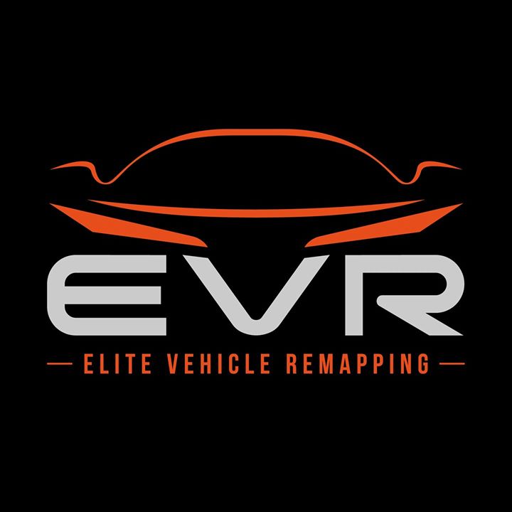 this-is-the-logo-we-created-for-elite-vehicle-rema.jpg